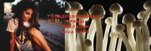 прущие грибы Алексин