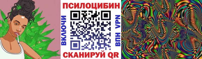сколько стоит  Северская  ОМГ ОМГ как войти  Галлюциногенные грибы Psilocybe 
