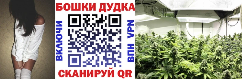Канабис THC 21%  магазин продажи наркотиков  Северская 